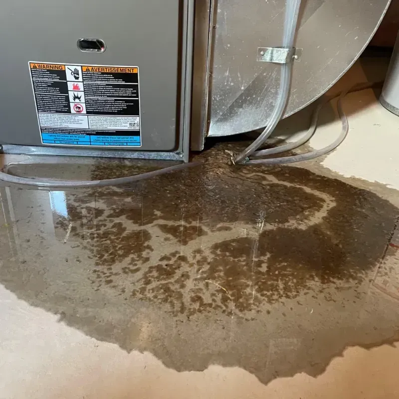 Appliance Leak Cleanup in East Lake-Orient Park, FL